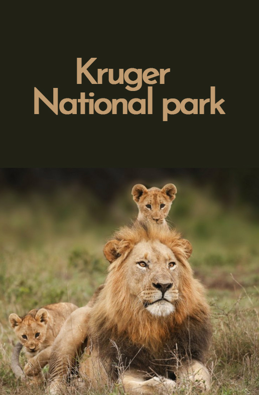 Kruger-National-park